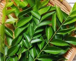 Curry Leaves