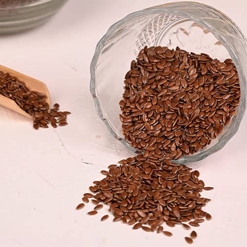 Flax Seeds