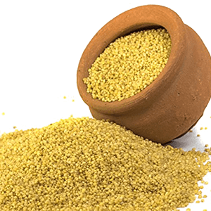Foxtail Millet